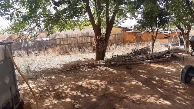 Отвезли крольчат на хутор.