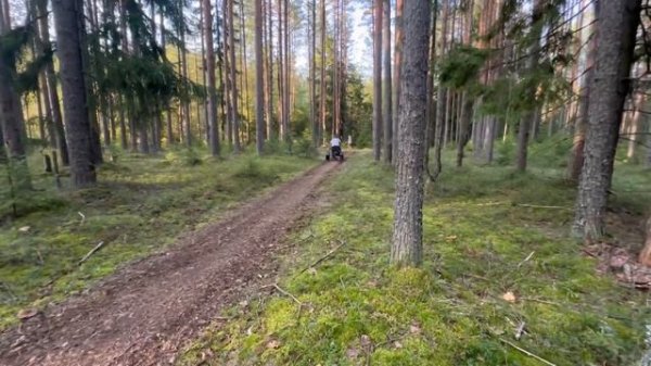 Нашумевший мото вездеход, от студии мини-байк: B’R-Trike! Трицикл для народа