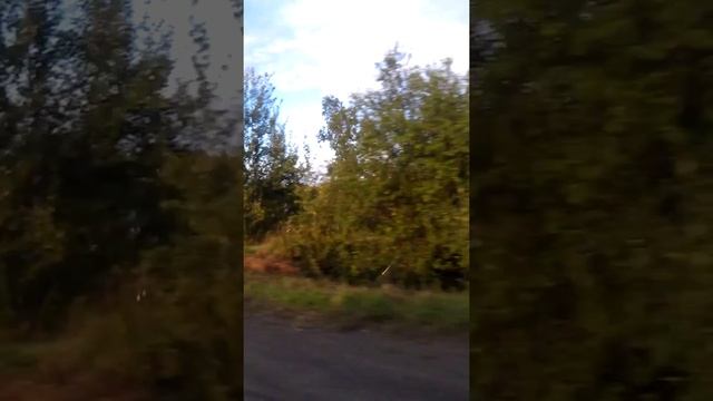 потоп Новый мир 2 смотреть онлайн