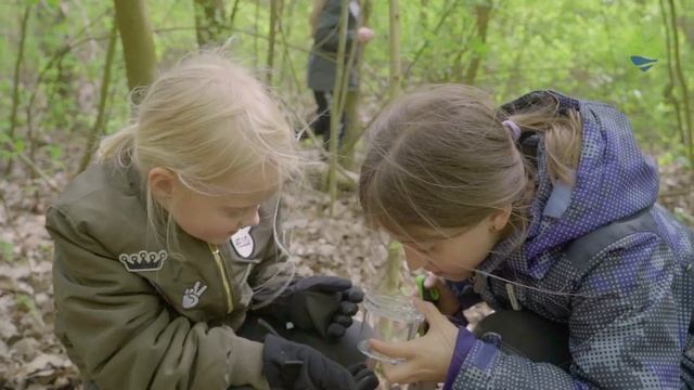 Friluftsrådet: Oplev Naturen - Quark Naturcenter смотреть онлайн