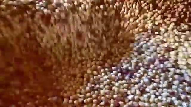 RITTER SPORT Hazelnut Selection смотреть онлайн