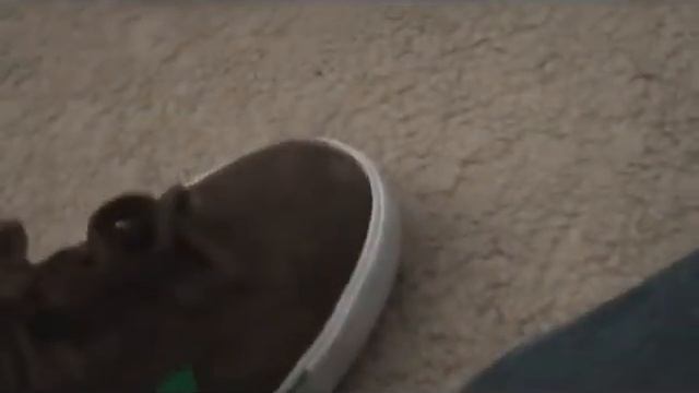 Adidas Campus Vulc Silas Baxter Neal смотреть онлайн