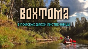 Вохтома. В поисках дикой лиственницы. Часть 1