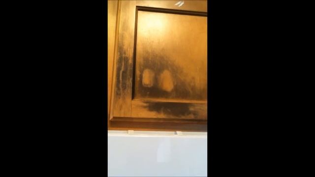 Lemon Essential Oil Uses no.2 - Removing Stains on Wood смотреть онлайн