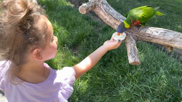 Vlog- summer day at the zoo | mom life | mommy and b смотреть онлайн