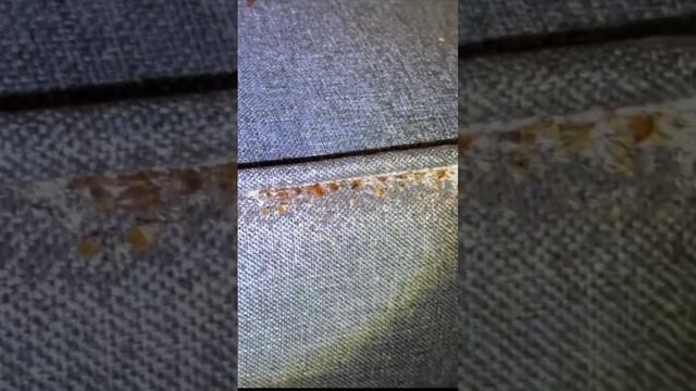 Уничтожение Клопов Мытищи