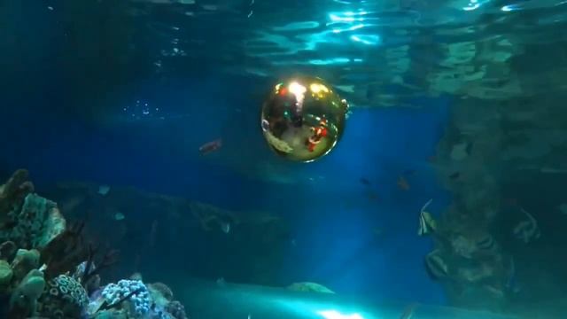 НОВЫЙ ГОД ПОД ВОДОЙ смотреть онлайн