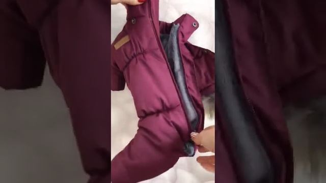 Комбинезон Северное сияние Бургунди смотреть онлайн