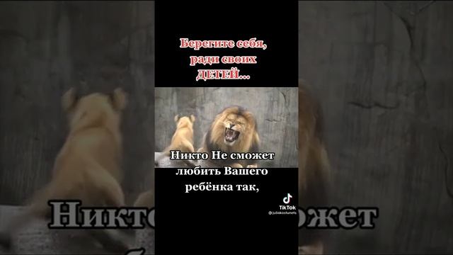 БЕРЕГИТЕ СЕБЯ РАДИ ДЕТЕЙ смотреть онлайн