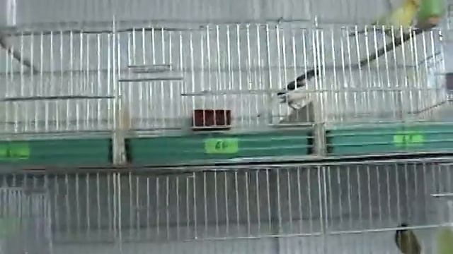 Орфей смотреть онлайн