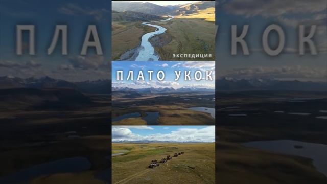 Плато Укок. Алтай. Путешествие на багги. @rocky_travel #shorts смотреть онлайн