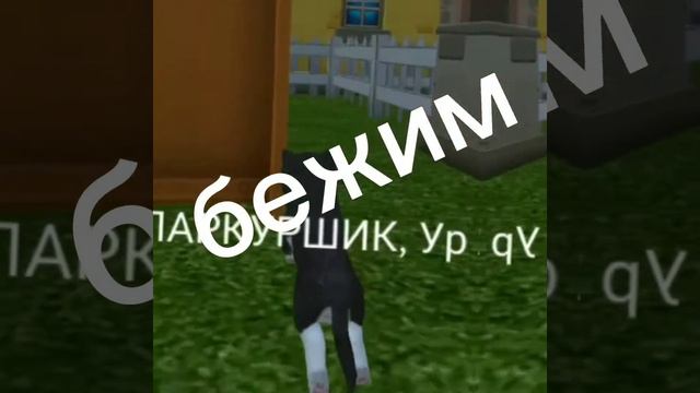 Карьера Паркурщика в Dog simulator animal life смотреть онлайн