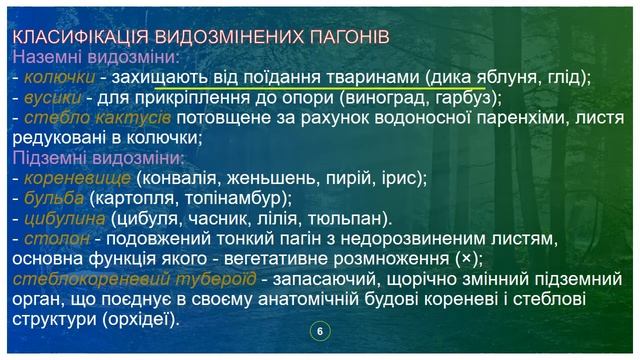 Класифікація пагонів та їх видозміни смотреть онлайн