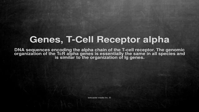 Medical vocabulary: What does Genes, T-Cell Receptor alpha mean смотреть онлайн