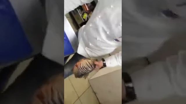 Приготовление живой рыбы* смотреть онлайн