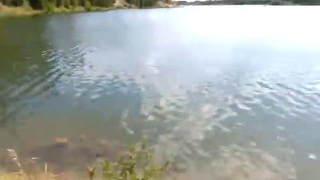 frankfurter Ушла сосиска кароче смотреть онлайн