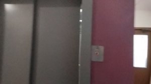 грузовой музыкальный лифт ЕЛМ 2021