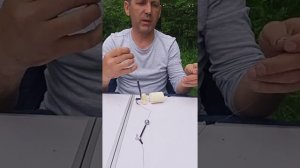 Монтаж на толстолобика.  Обзор