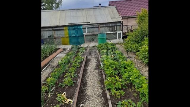 11595790 смотреть онлайн