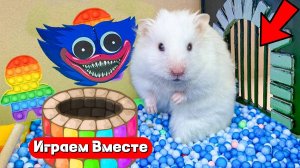 Хомяк выбирается из ПОП ИТ тюрьмы с ХАГИ ВАГИ 🐹 Видео для детей