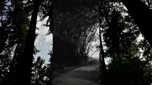 ПРИЗЫВ ВОЛКА. ОЧИЩАЕТ ПОДСОЗНАНИЕ ОТ СТРАХОВ. СЛУШАТЬ . ВЕДЬМИНА ИЗБА . ИНГА ХОСРОЕВА