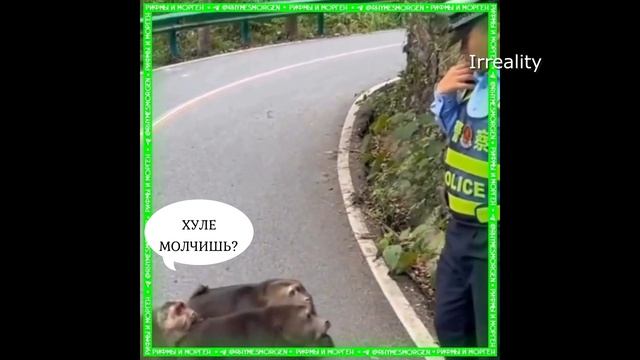 Ирреалити трансфер