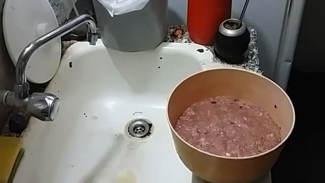 Mario Goncalvez - Y sus empanadas Árabes Vlog 1 смотреть онлайн