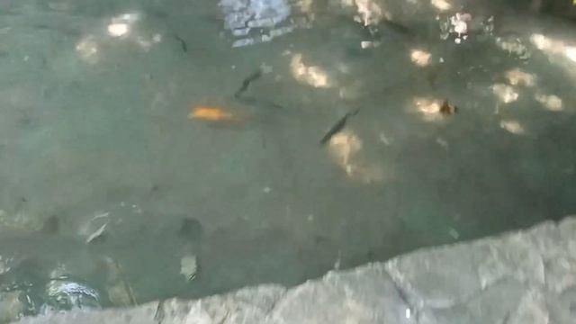 Влог | Поехали на море / 2023 Сочи (5 часть) Водопады! {6 день} смотреть онлайн