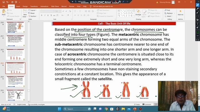 classification of chromosomes depending upon position of centromere смотреть онлайн