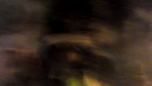 Гуппи🐠 и данио🐟