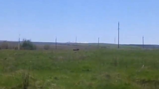 Жара в Крыму - 27 апреля 2017 года. смотреть онлайн