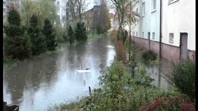 Сезон дождей конкретно в нашем дворе 28.10.2017г. смотреть онлайн