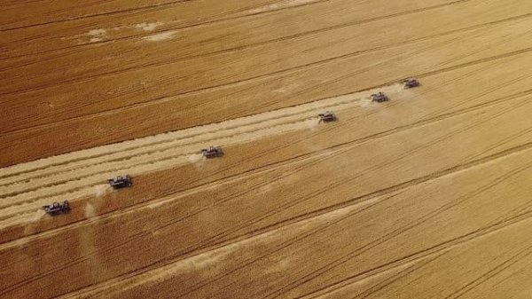 Юбилейный фильм для СИТНО 35 лет