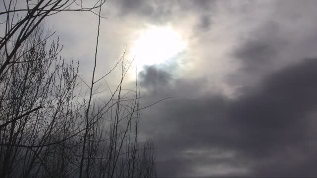 William Shakespeare. Sonnet 66 смотреть онлайн