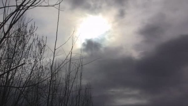 William Shakespeare. Sonnet 66