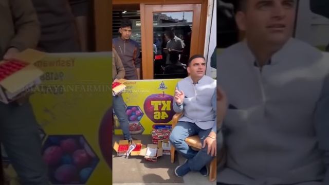 Cherries Season 2024 Starts | Cherry Rate | Himalayan Farming | Live Update