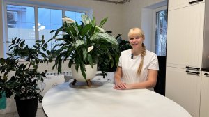 Спатифиллум. Основные правила успешного ухода