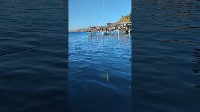 солнечнодольск остров удачи