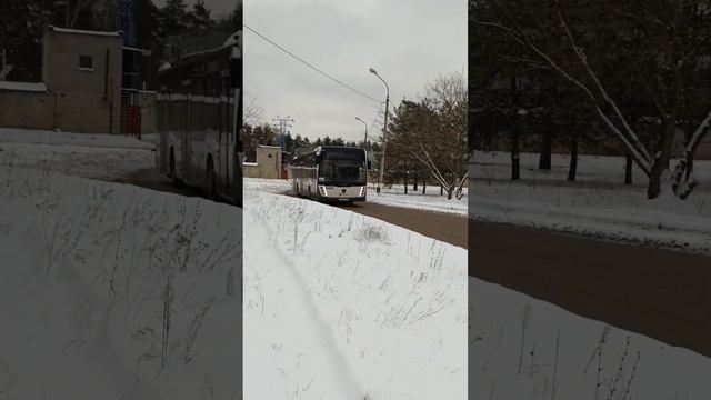 Миниролик #1559 у393ос на 33к!!! с приветливым водителем#лиаз #автобус