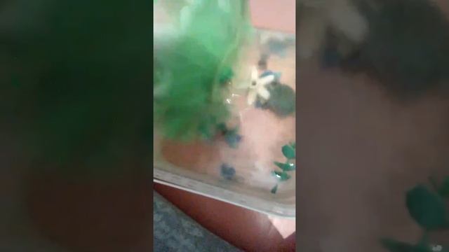 Черепаха рисунки зайчик смотреть онлайн