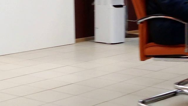 Варикоз не дремлет. Как сохранить женские ножки в любви и согласии. Часть первая.