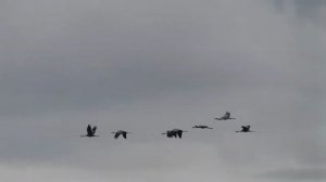 А годы летят 🦅🦅🦅🦅🦅🦅🦅