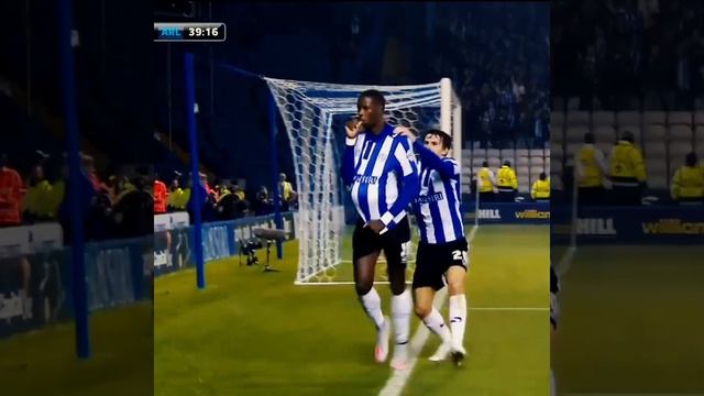 Carlos Had a Dream - Sheffield Wednesday 2015/16 season смотреть онлайн