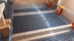 Дополнительная кормушка в брудер.