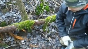 Нашли с Гошей знак "Гвардия" в лесу. Коп по войне.