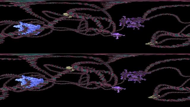 Genome Gazing смотреть онлайн