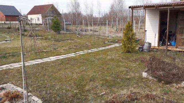 Зачем собаке ведро и топор🐕🐾 смотреть онлайн
