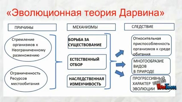 Теория дарвина смотреть онлайн