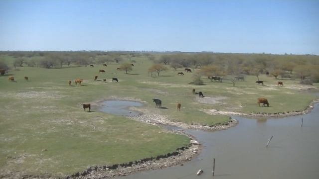 Ambientes,flora y fauna del Departamento Las Colonias Santa Fe Argentina Parte 2 Zona norte 2022 смотреть онлайн