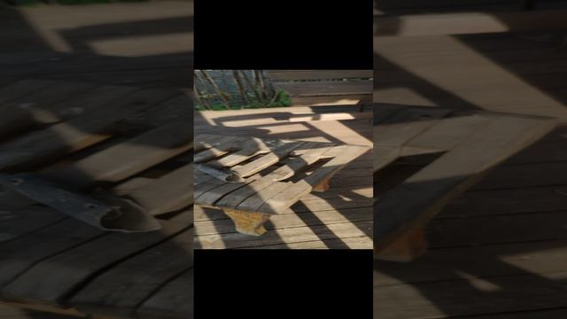 Моя дача и другие животные